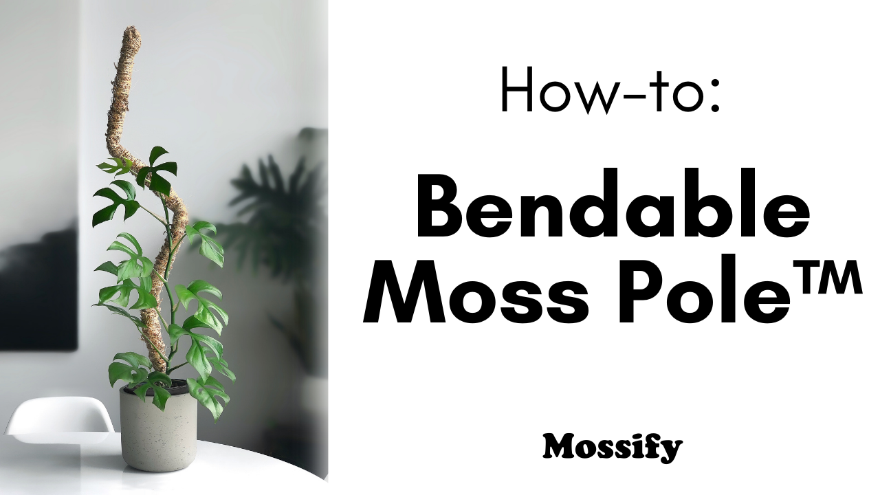How To Use The Bendable Moss Pole™ (2022 Update)