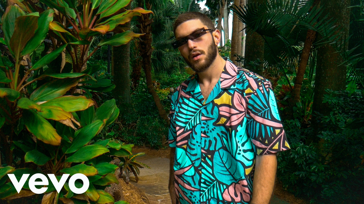 Why We Started Making Plant Music! — Mossify