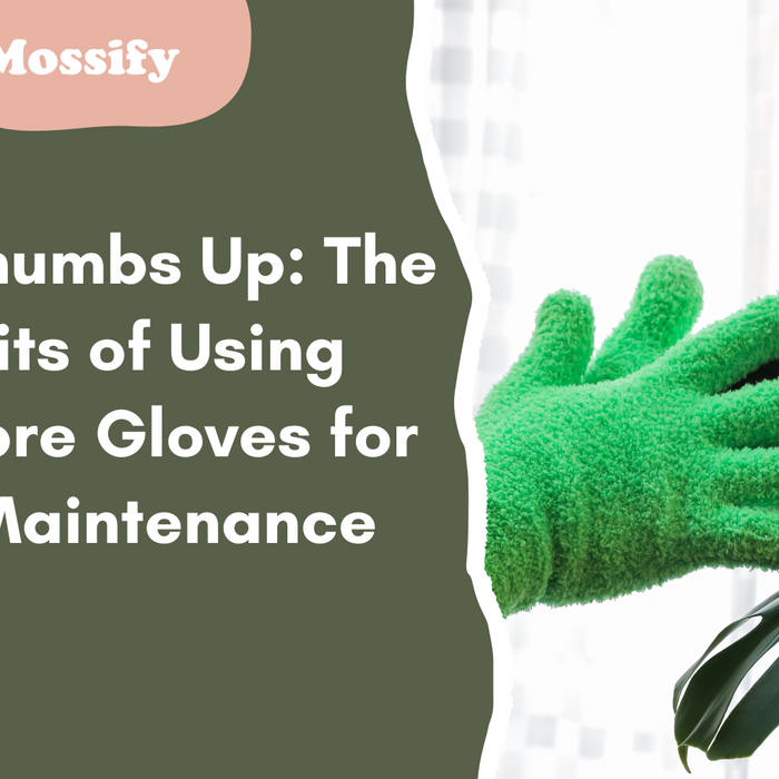 Green Thumbs Up: The Benefits of Using Microfibre Gloves for Plant Maintenance