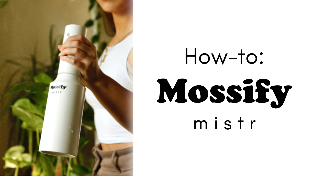 How To Use Your Mossify mistr™ | Automatic Rechargeable Plant Mister (2022 Updated)