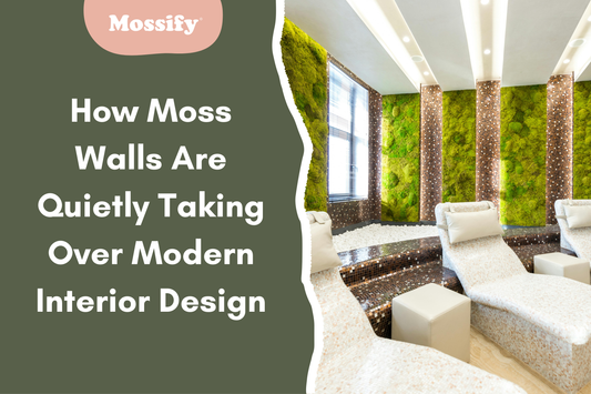 moss-wall-modern-space-salon