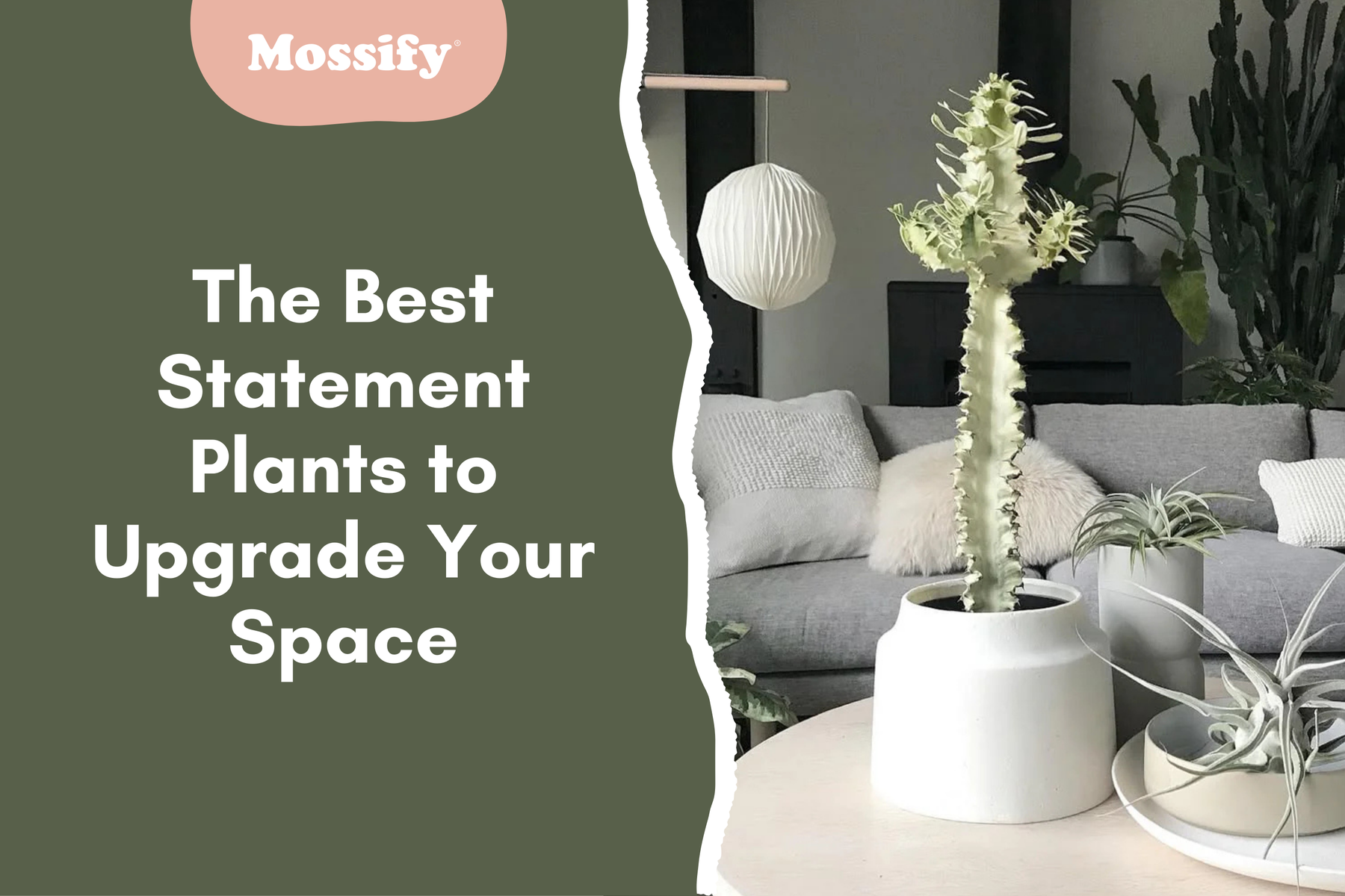 The Best Statement Plants to Instantly Upgrade Your Space