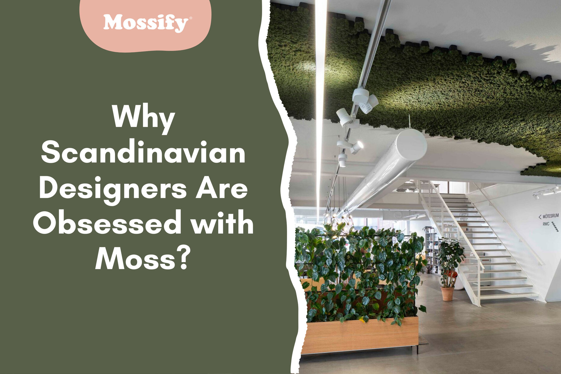 Why Scandinavian Designers Are Obsessed with Moss