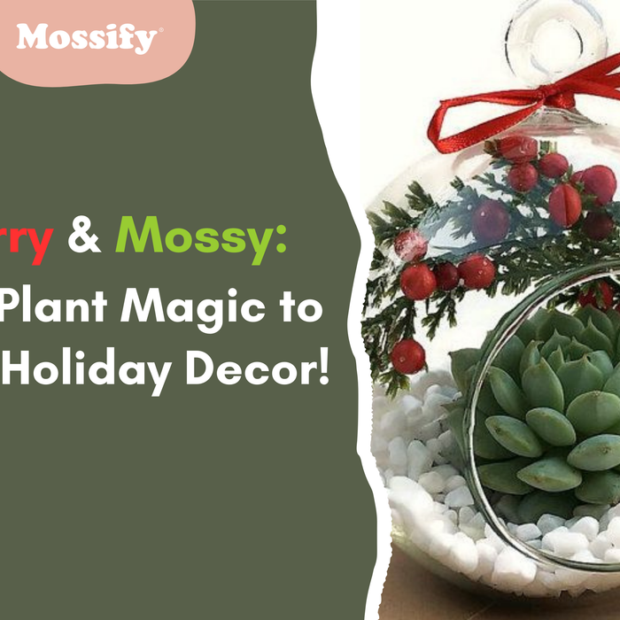 Merry & Mossy: Add Plant Magic to Your Holiday Decor