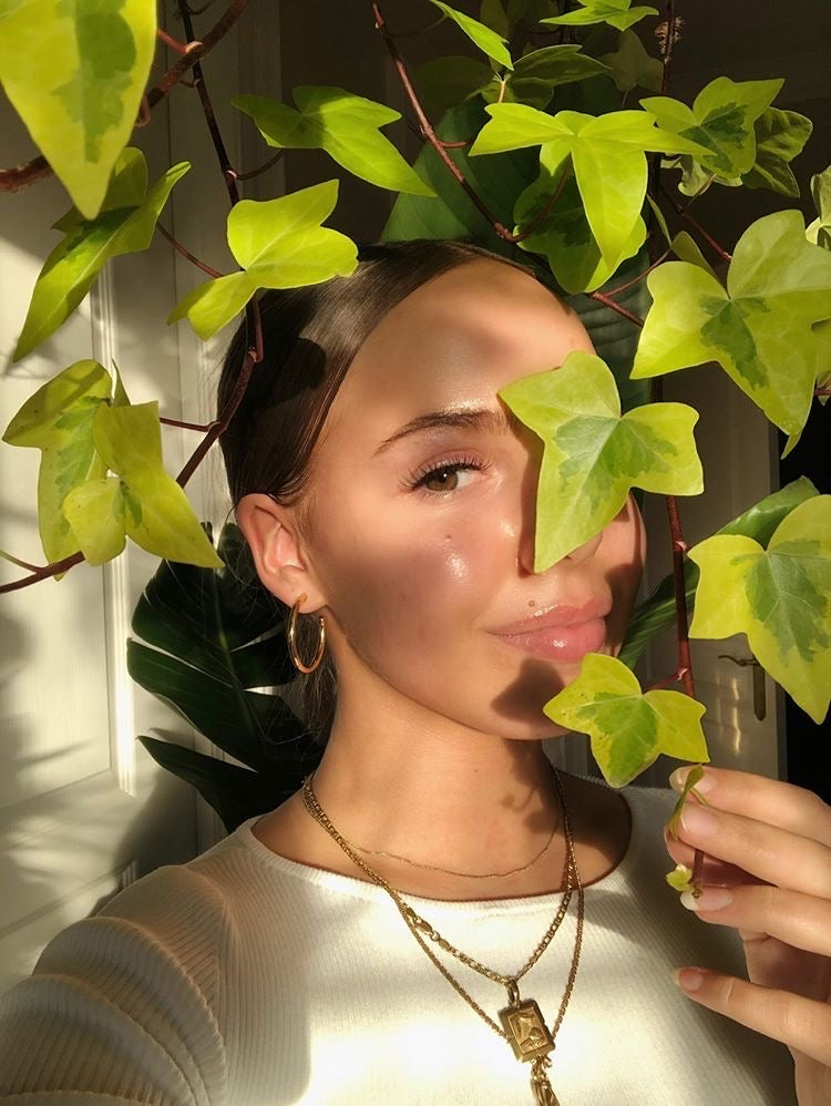 How Plants Have Positively Affected My Life.