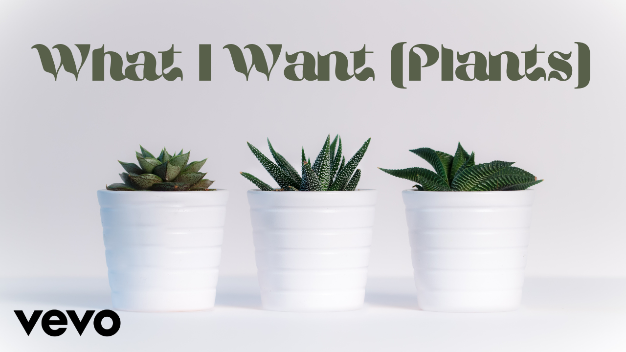Mossify - What I Want (Plants) [Official Lyric Video]