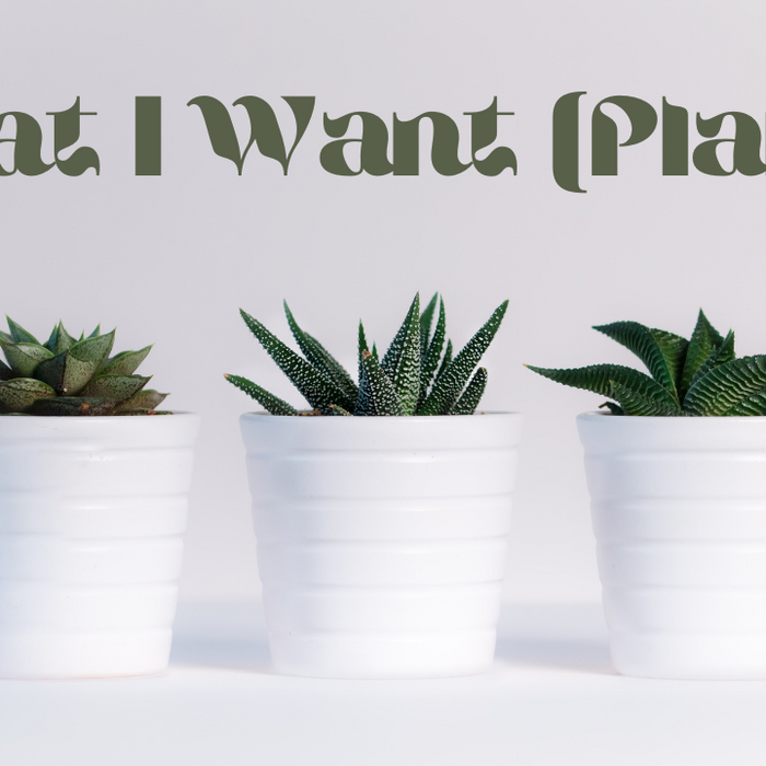 Mossify - What I Want (Plants) [Official Lyric Video]