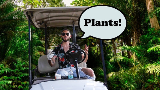 We Made A Song About Plants (TPIE 2022) Part 2