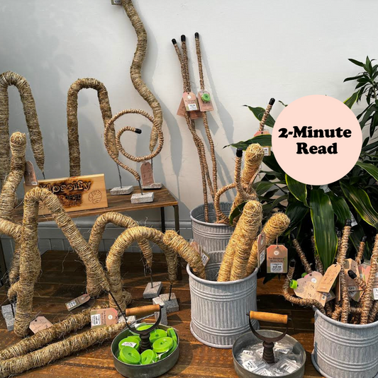 How Tall Should Your Moss Pole be?