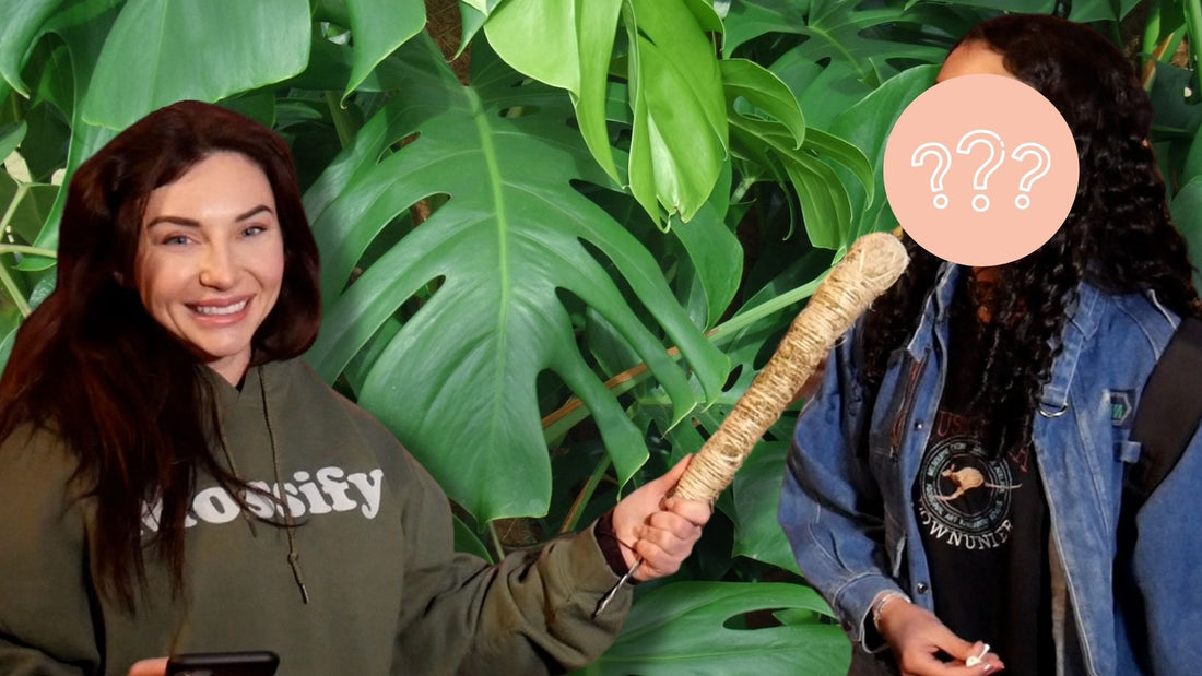 Quizzing Strangers On The Streets About Plants! (HILARIOUS Toronto Reactions 😂)