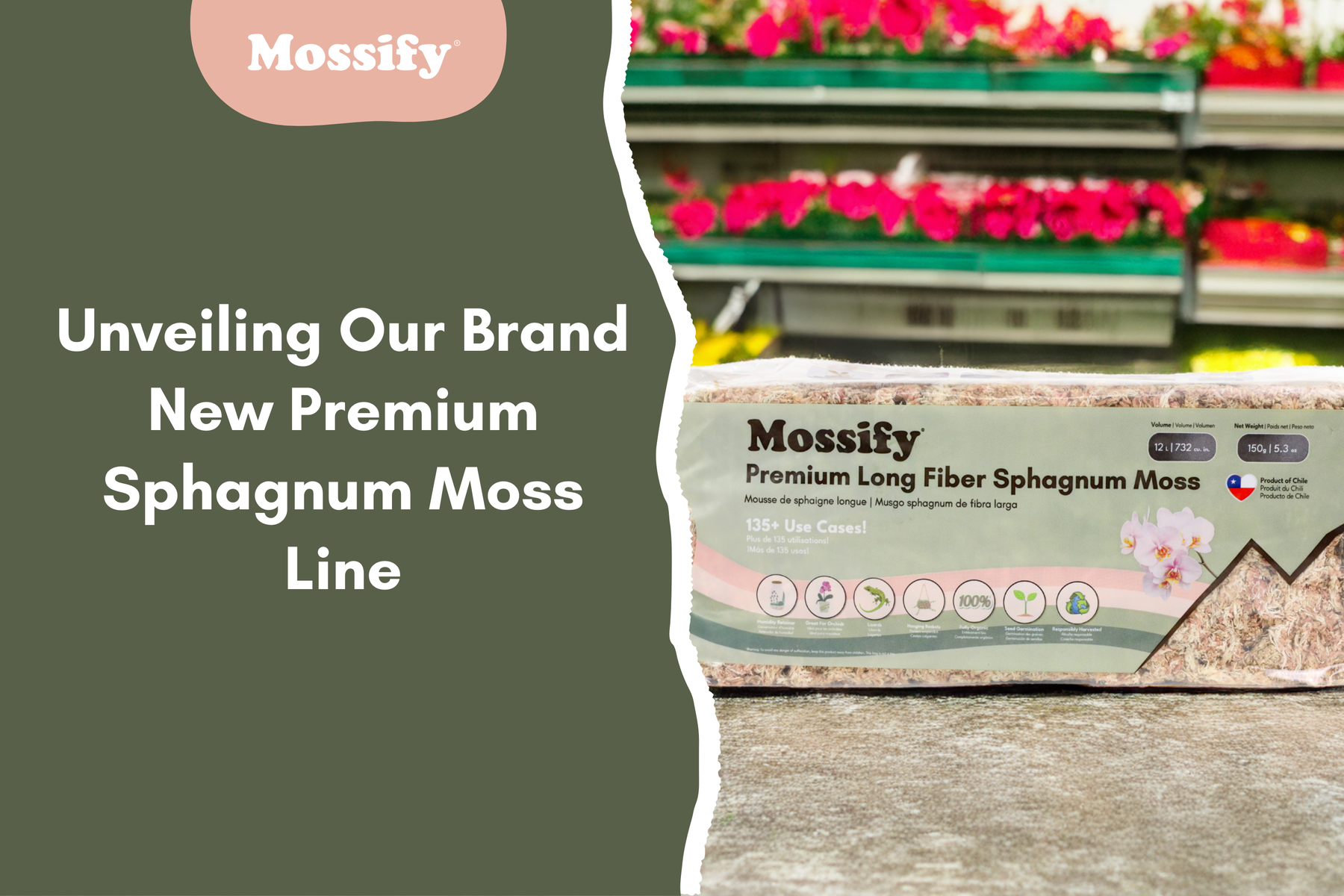 Mossify Presents A Brand New Premium Sphagnum Moss Line