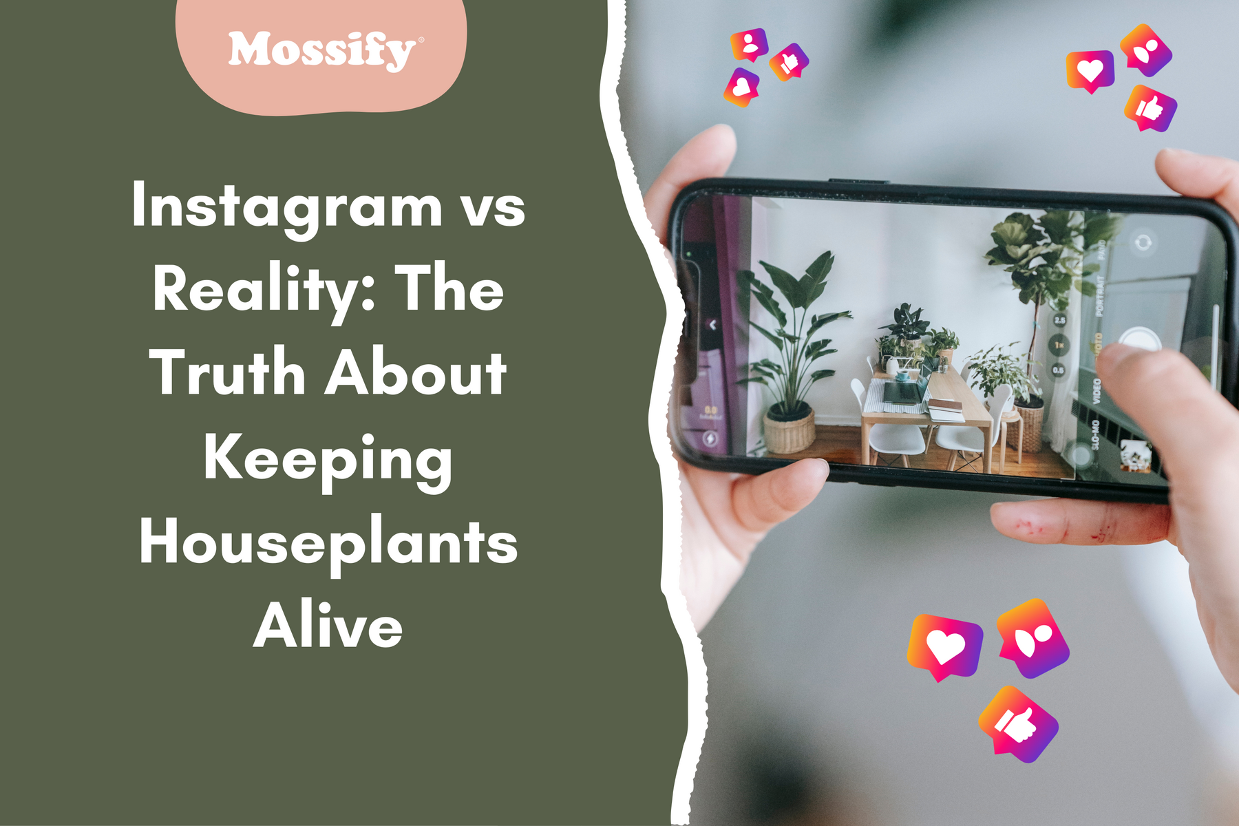Instagram vs Reality: The Truth About Keeping Houseplants Alive