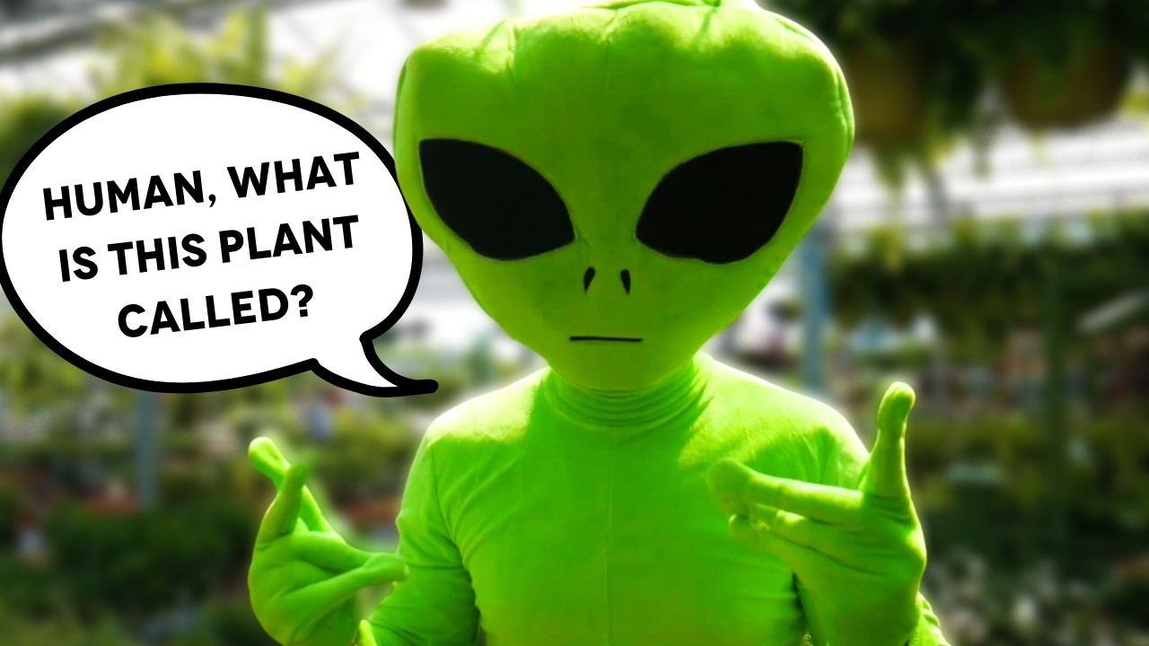 ALIEN Goes PLANT SHOPPING For The First Time *Prank*