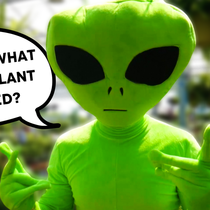 ALIEN Goes PLANT SHOPPING For The First Time *Prank*