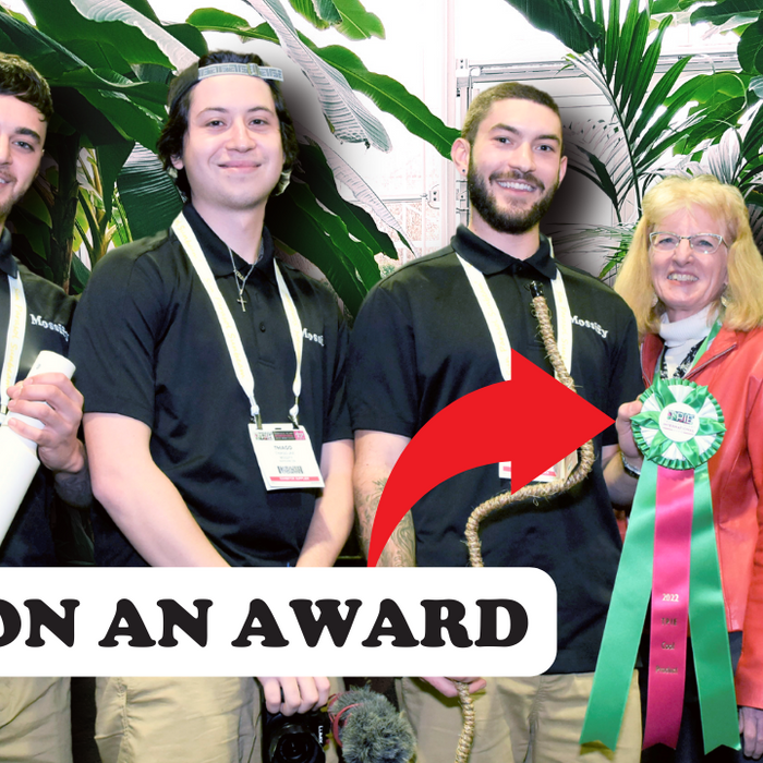 We Won A Major Plant Award (TPIE 2022) Part 3