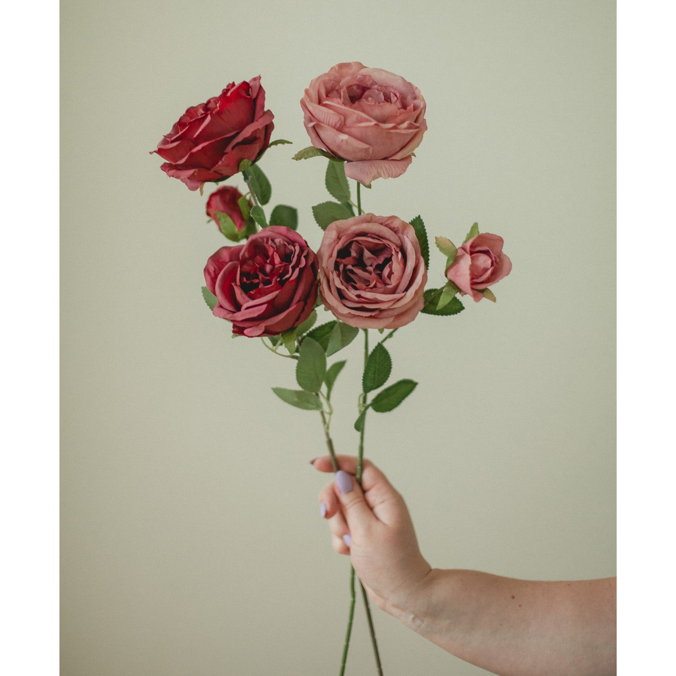 Partnered Supplier (Canada Only)