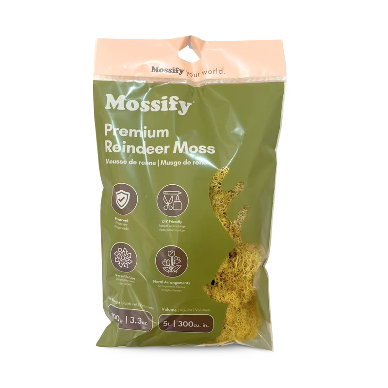 Mossify Premium Reindeer Moss packaging on a white background