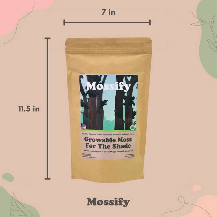 Value Pack - Mousse cultivable pour l'ombre 