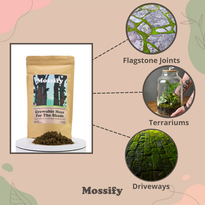 Value Pack - Growable Moss for the Shade