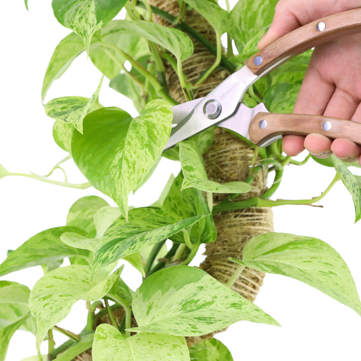 Slim Garden Utility Shears - Mossify