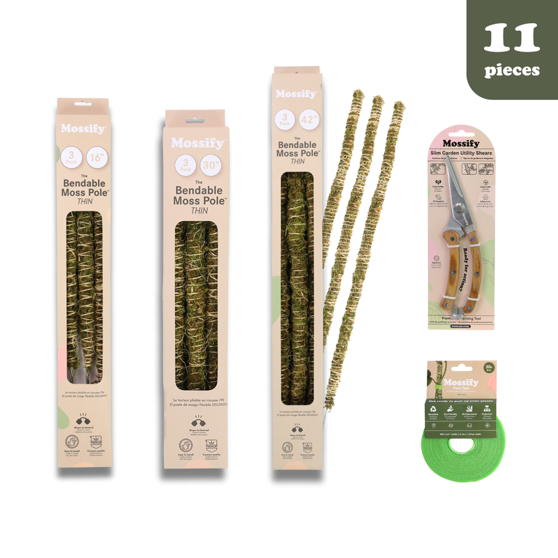 The Bendable Moss Pole™ THIN - Ultimate Starter Pack - Mossify