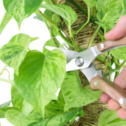 Slim Garden Utility Shears - Mossify