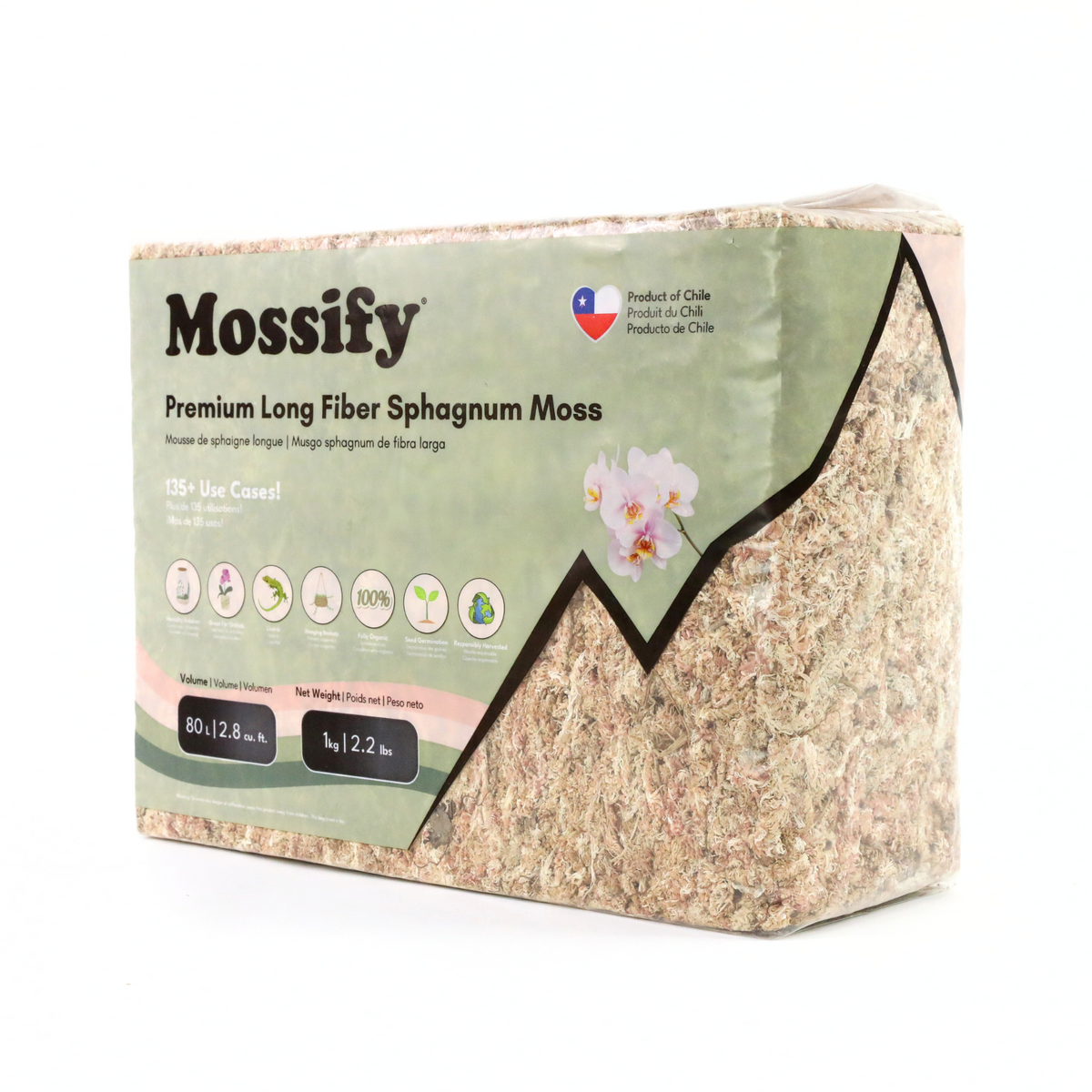 Premium Sphagnum Moss - Mossify