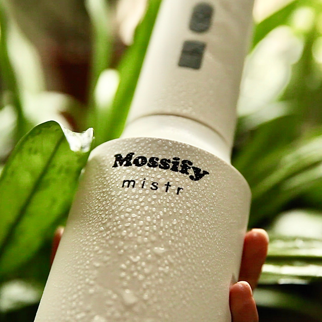 4 Pack Mossify mistr™ - Mossify