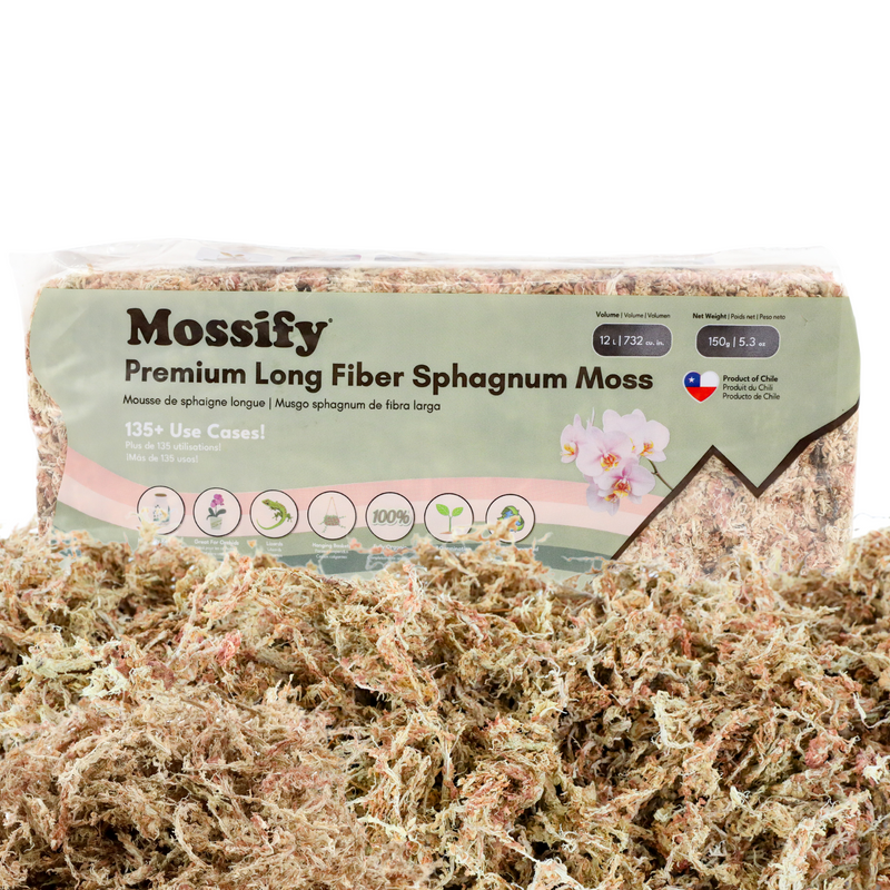 Mousse de sphaigne de qualité supérieure