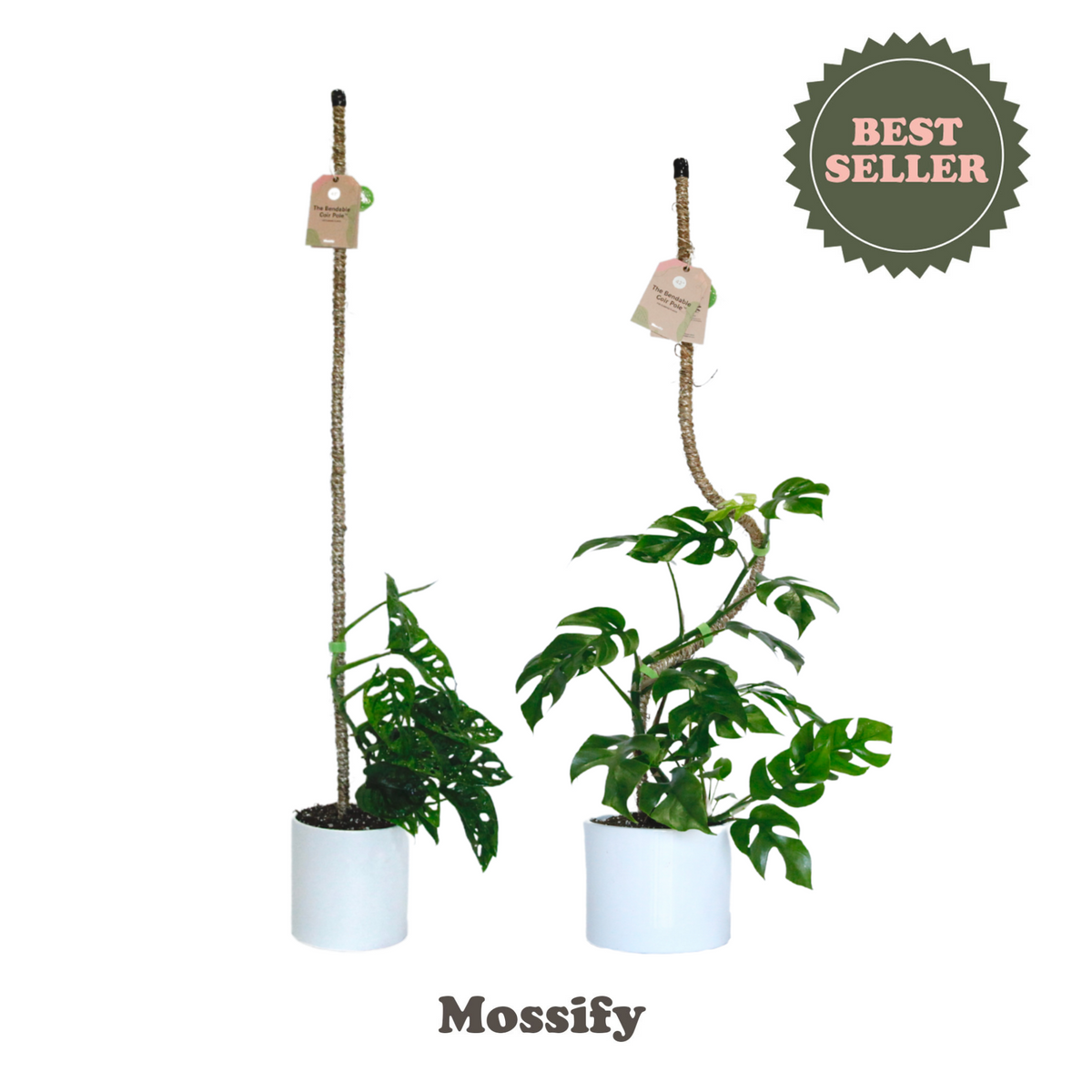 The Original Bendable Coir Pole™ - Ultimate Starter Pack - Mossify