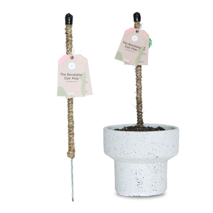 The Original Bendable Coir Pole™ - Best-seller (ruban inclus) 