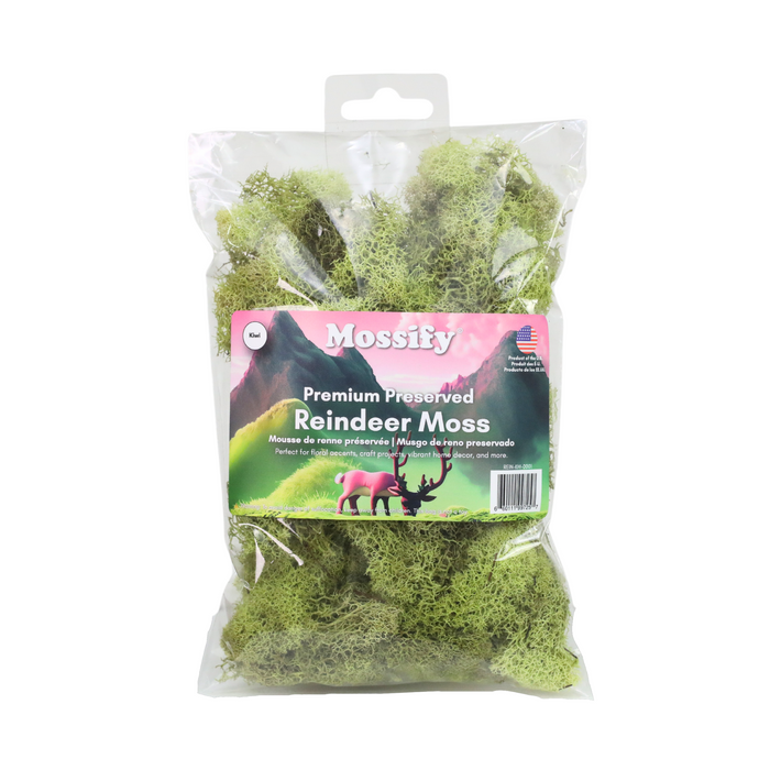 Premium Reindeer Moss