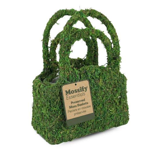 Moss Purse Planter (Set of 2)