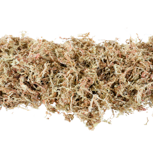 Premium Sphagnum Moss - Mossify