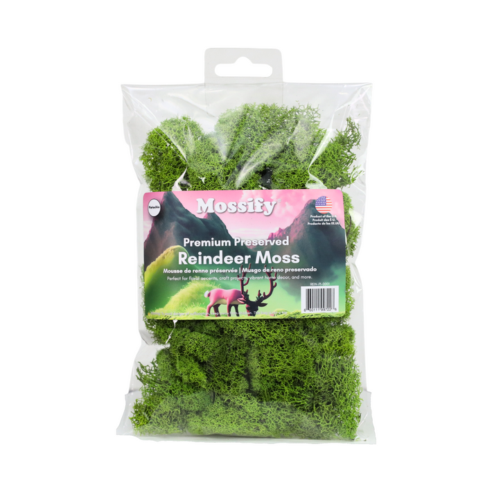 Premium Reindeer Moss