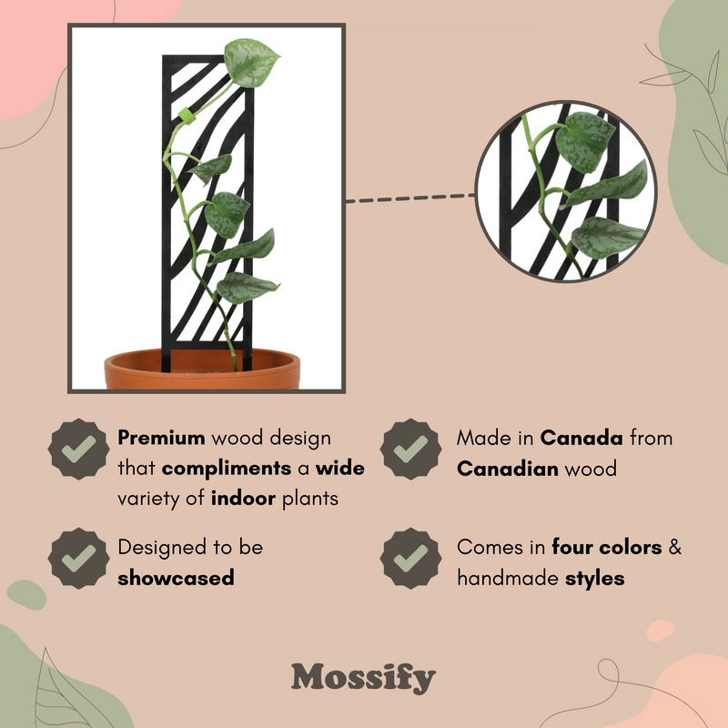 Zebra Wooden Trellis - Mossify