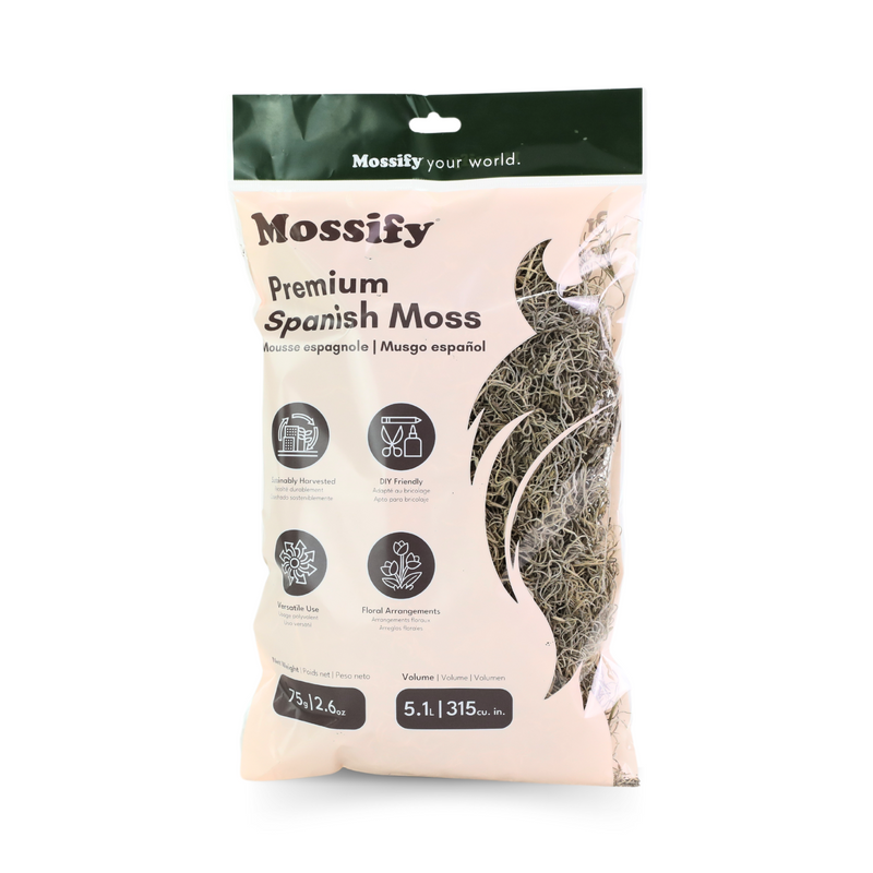 Premium Spanish Moss - Mossify