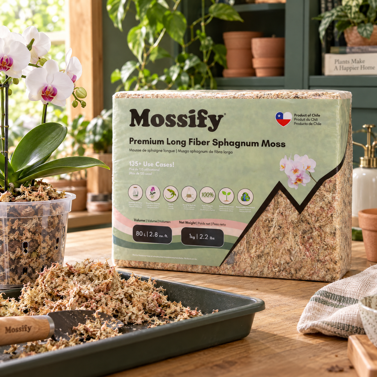Premium Sphagnum Moss