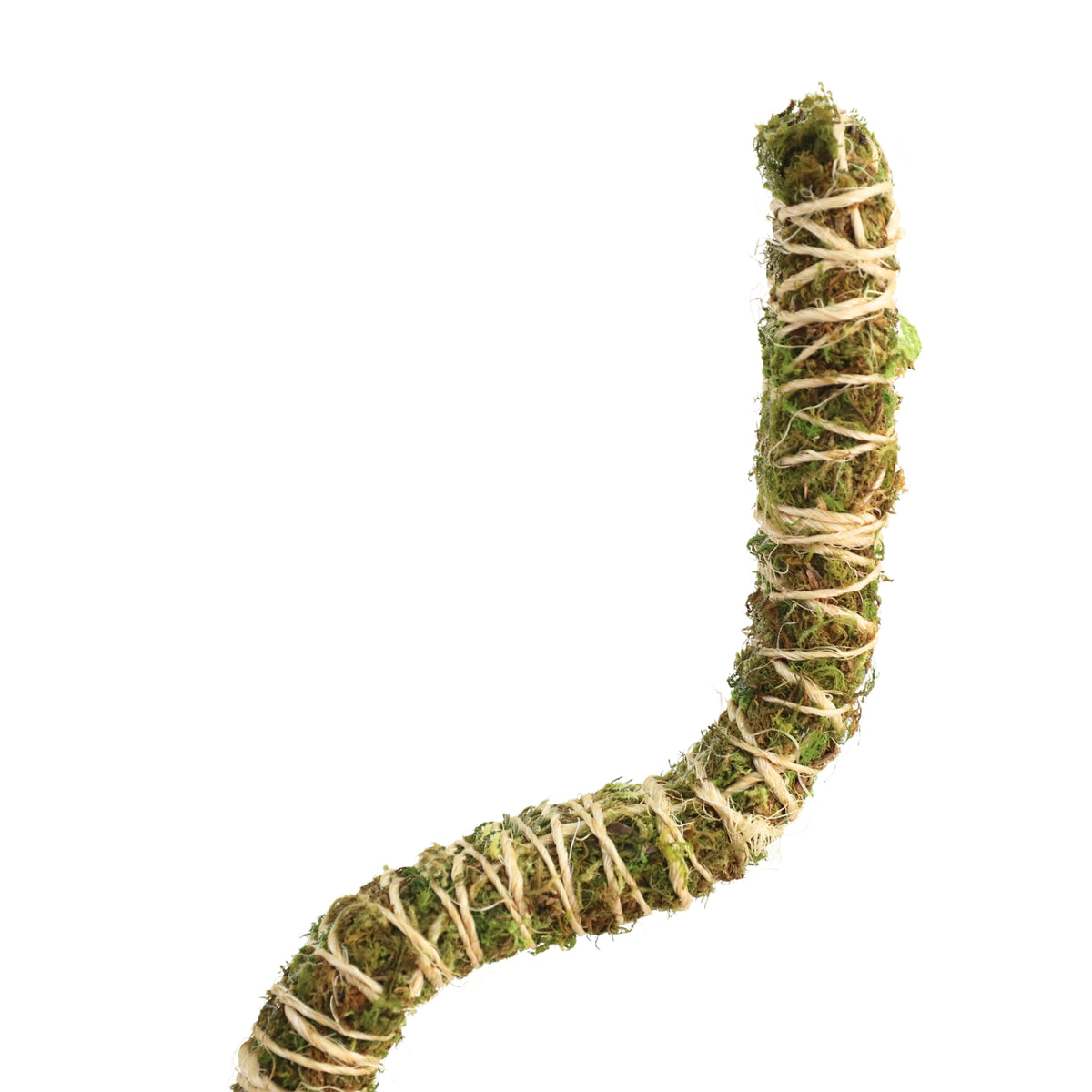 The Bendable Moss Pole™ THIN – Bulk 50-Pack - Mossify