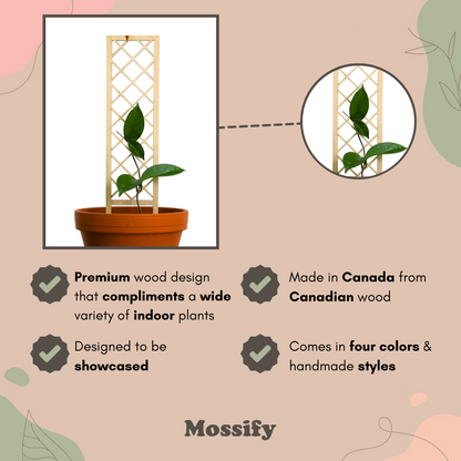 Cross-Hatch Wooden Trellis - Mossify