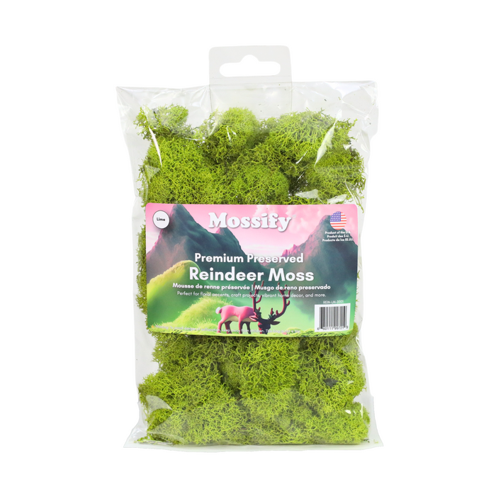 Premium Reindeer Moss