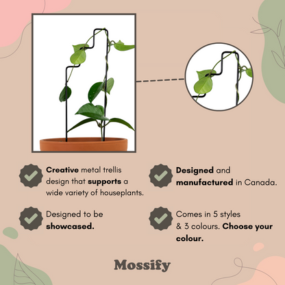 "Plant Stairs" Metal Trellis - Mossify