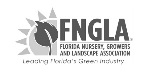 FNGLA