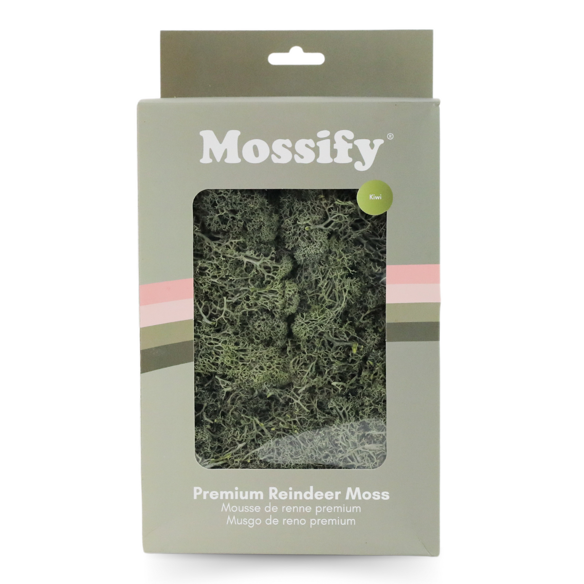 Premium Preserved Reindeer Moss - Mossify