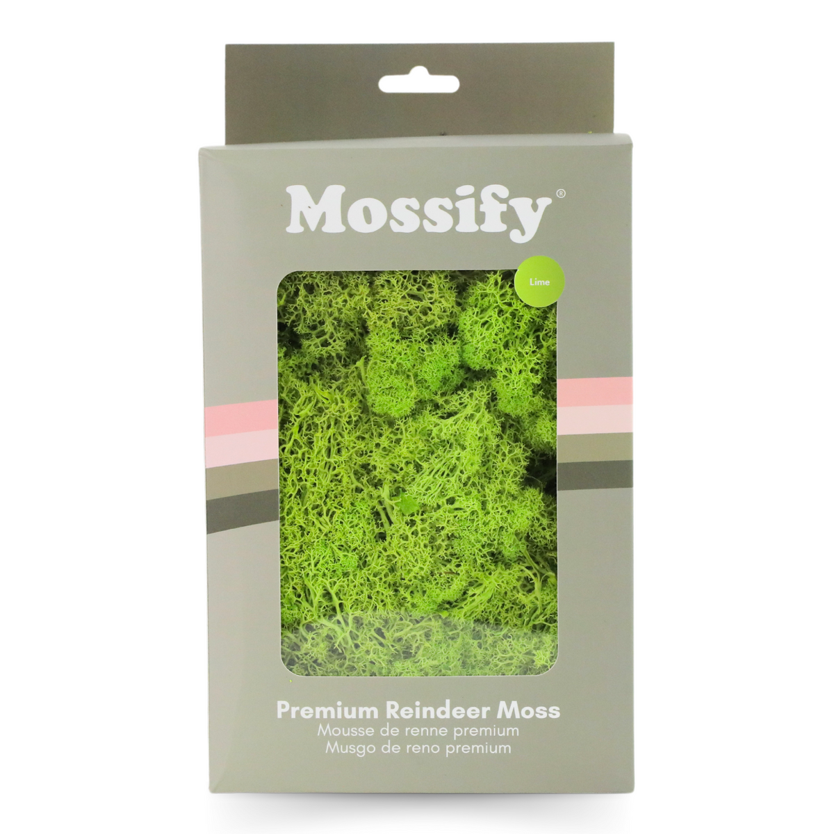 Premium Preserved Reindeer Moss - Mossify