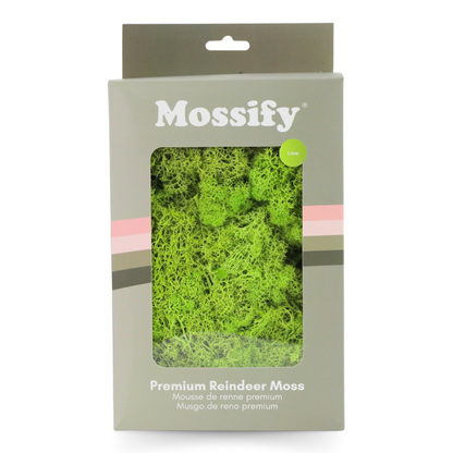 Premium Preserved Reindeer Moss - Mossify