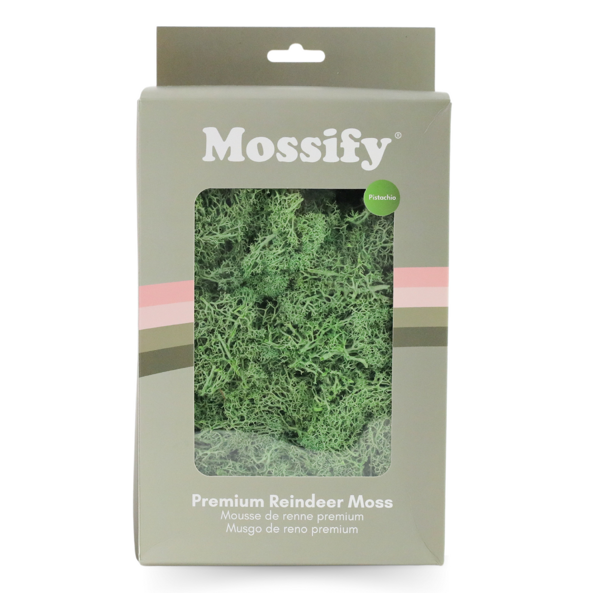 Premium Preserved Reindeer Moss - Mossify