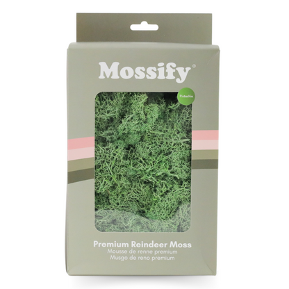 Premium Preserved Reindeer Moss - Mossify