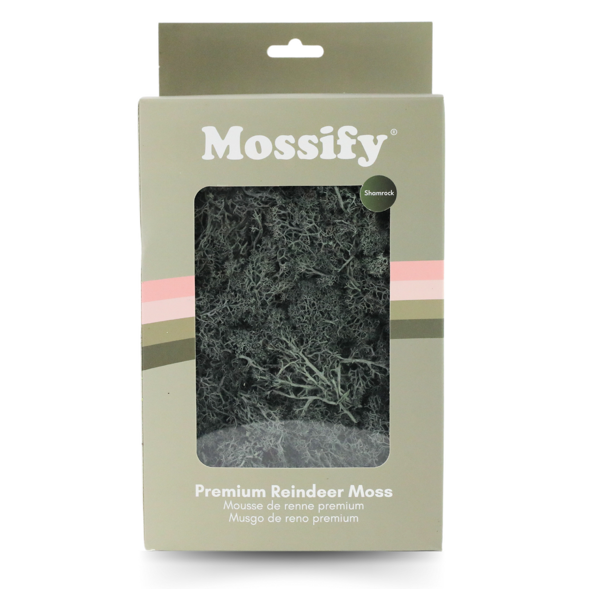 Premium Preserved Reindeer Moss - Mossify