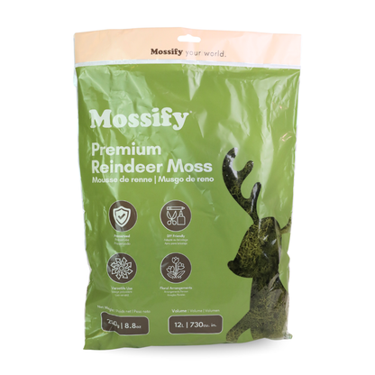 Mossify Premium Reindeer Moss 250 g bag in Kiwi